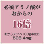 �K�{�A�~�m�_���������16�{