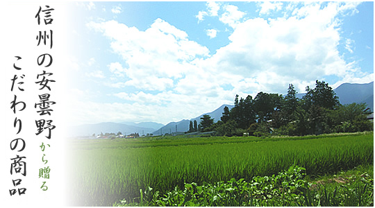 �M�B���ܖ삩�瑗�邱�����̏��i���̂��ƃe���y�I