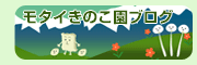 �u���O